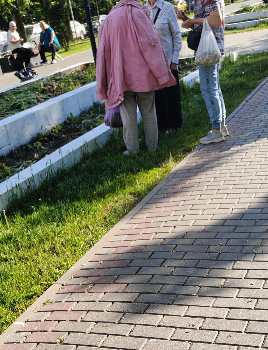 Эти женщины набрали себе луковиц с разрешения 