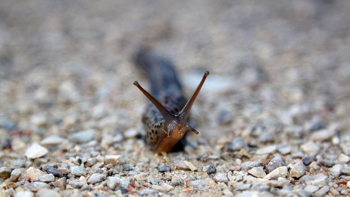    Фото: shutterstock