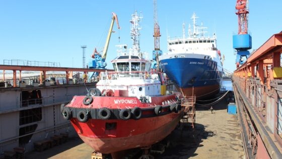     Фото: ЦС «Звездочка»