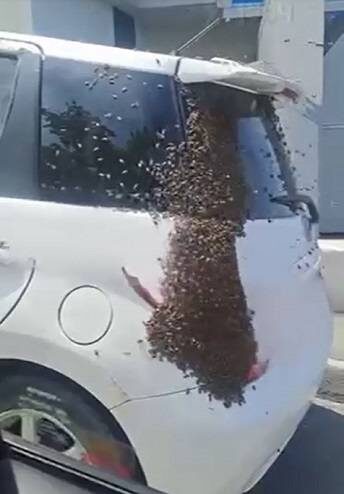    Источник фото: