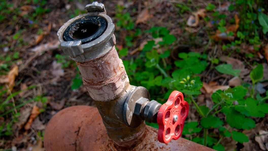    Фото: Svetlana Vozmilova/Global Look Press