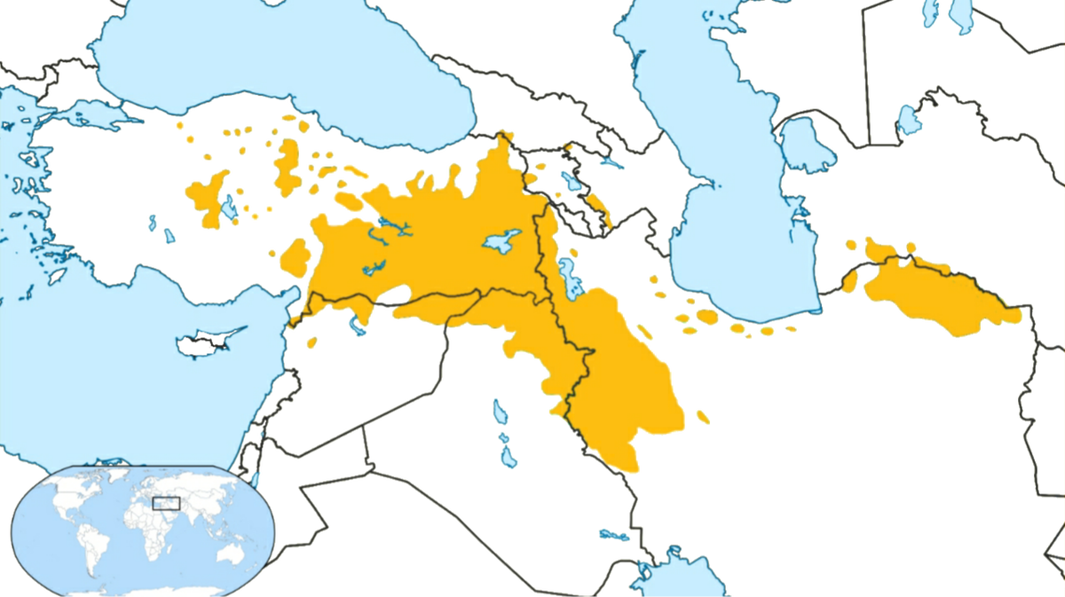 Ареал расселения курдов в Азии.