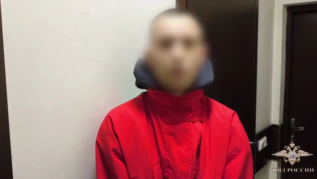    Фото: скриншот из видео в телеграм-канале официального представителя МВД Ирины Волк.