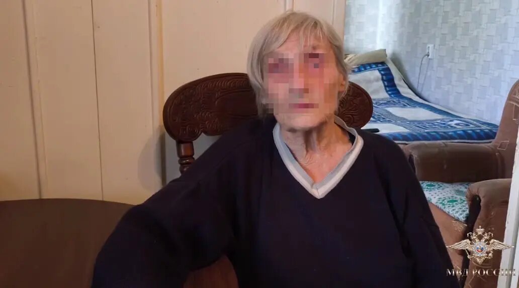    Фото: скриншот из видео в телеграм-канале официального представителя МВД Ирины Волк.