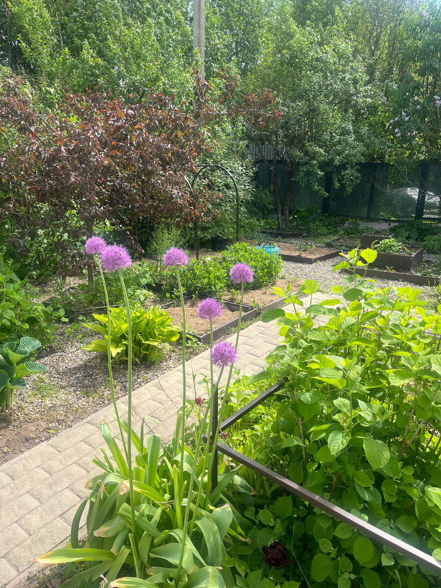 Примерно в середине пути между Воронежем и Москвой я поняла, что хочу приехать на дачу. 80км лишних? Ерунда, после 550