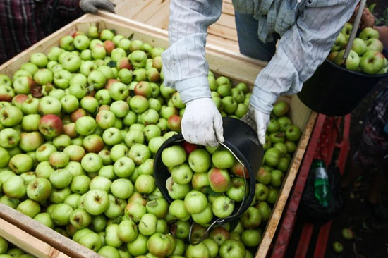 Фото: Виталий Тимкив/ТАСС