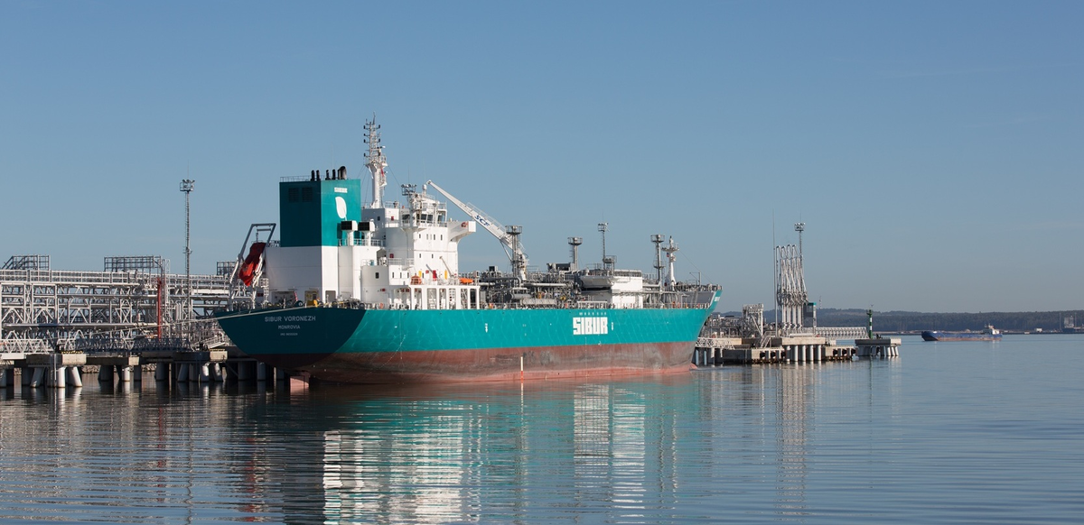 Терминал СУГ в порту Усть-Луга. Фото с сайта «Портэнерго»