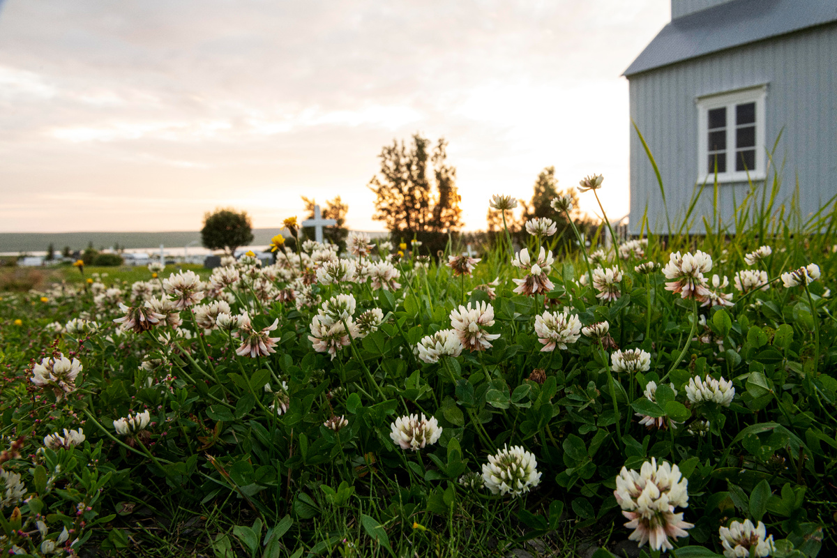 Изображение: freepik.com