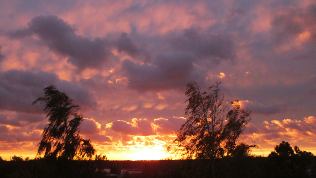    Фото: Victor Lisitsyn, Виктор Лисицын/Globallookpress
