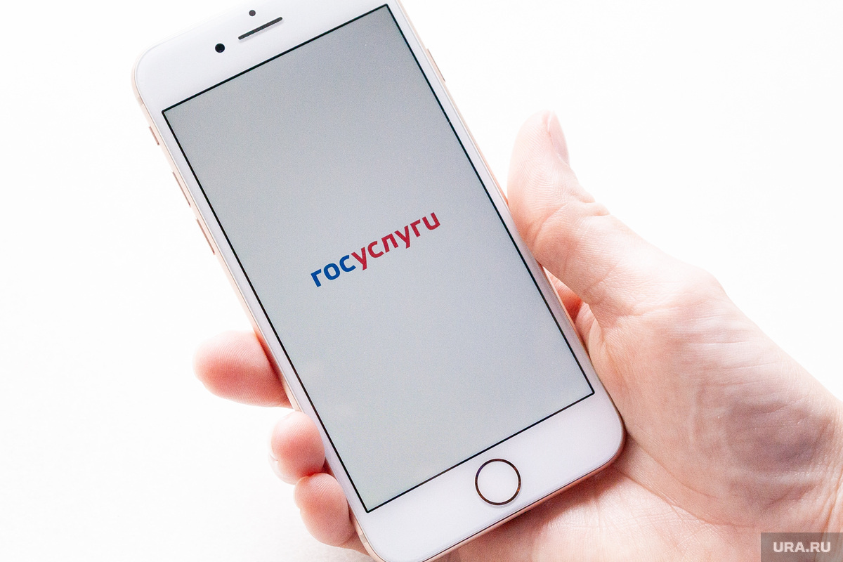 Профессора попросили назвать код из приложения Госуслуги. Фото: Денис Моргунов © URA.RU