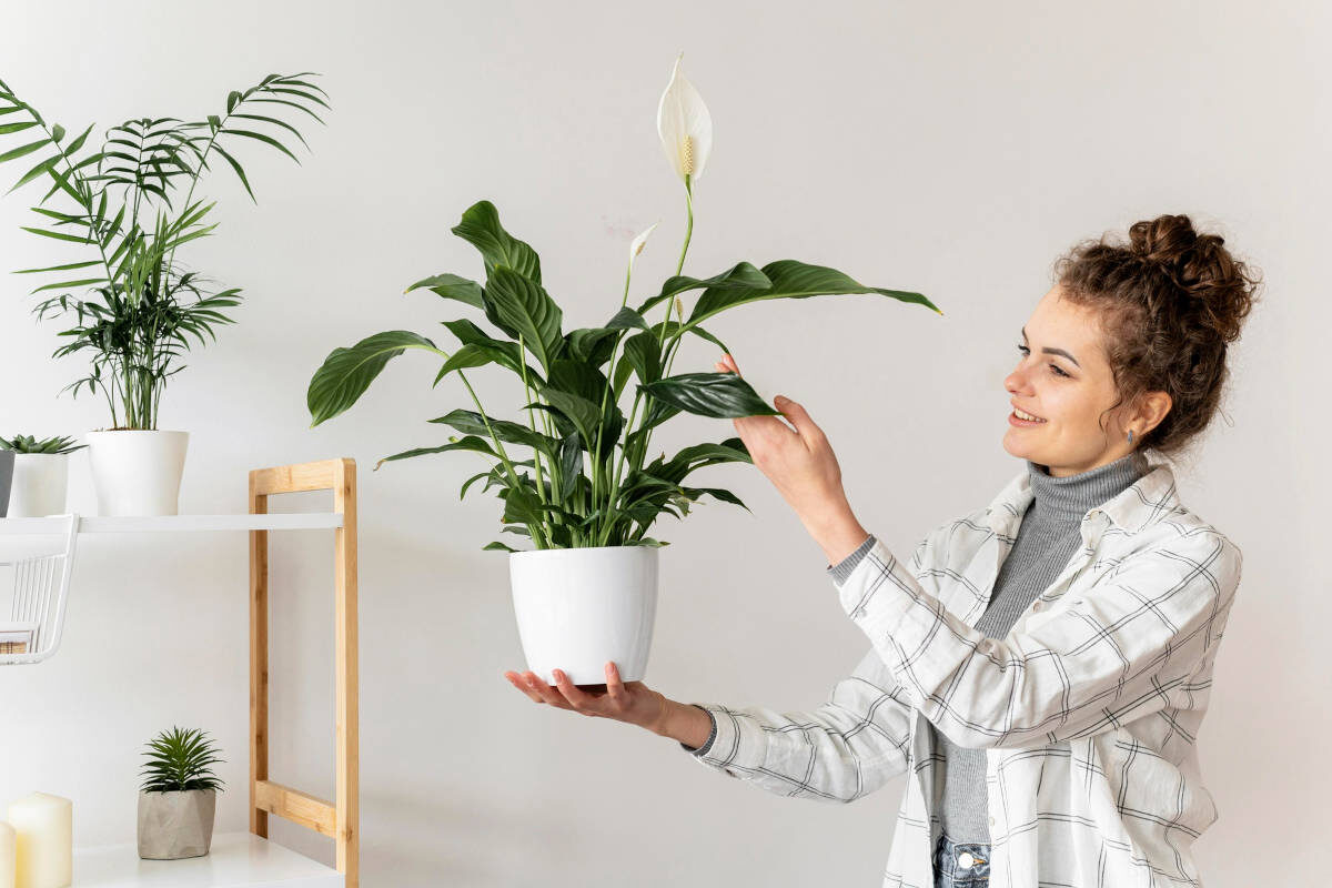 Фото freepik.com