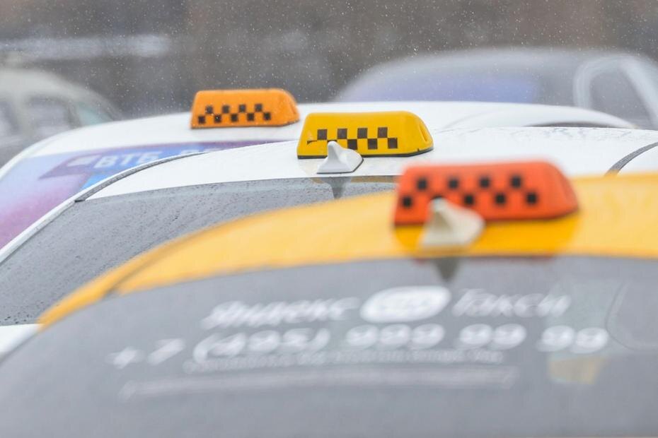    Наталья Шатохина/NEWS.ru