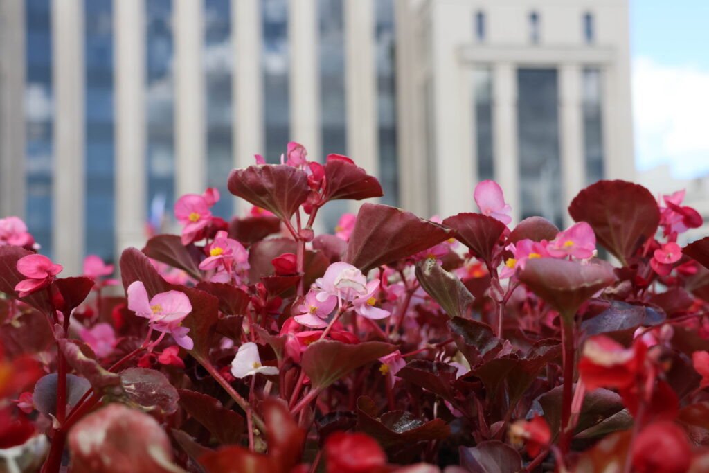 Фото: Анастасия Богданова/«РТ», Юлия Бидун,/«РТ», пресс-служб Бугульминского и Зеленодольского районов