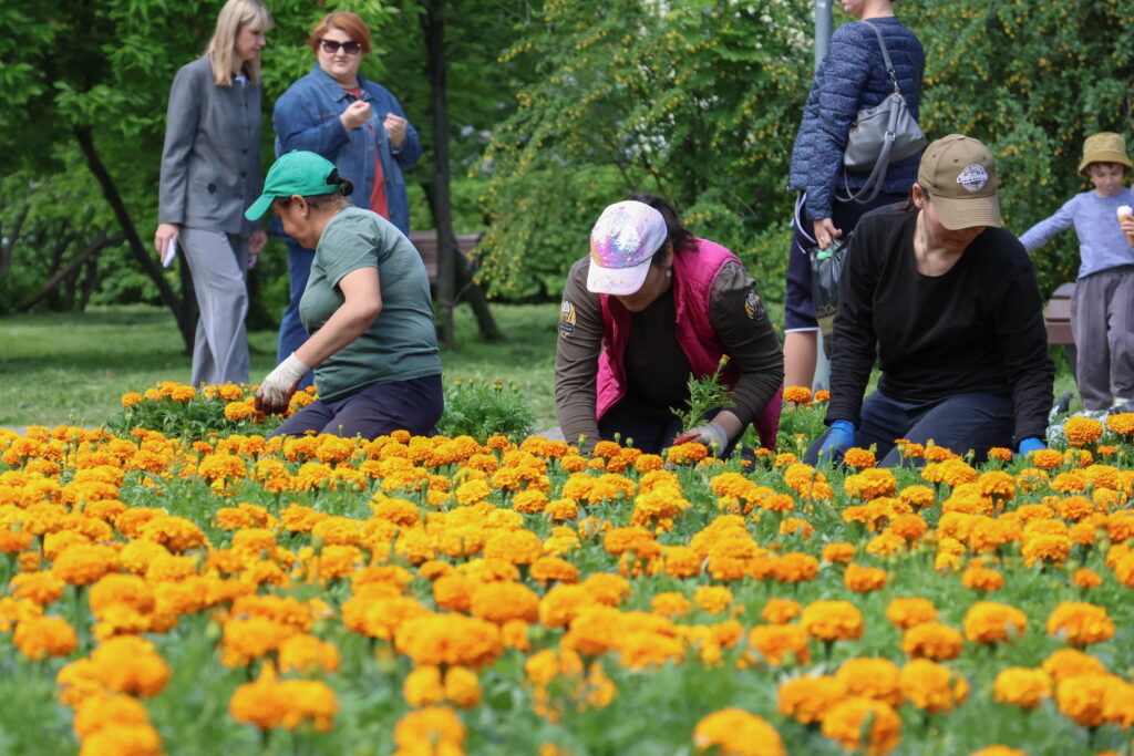 Фото: Анастасия Богданова/«РТ», Юлия Бидун,/«РТ», пресс-служб Бугульминского и Зеленодольского районов