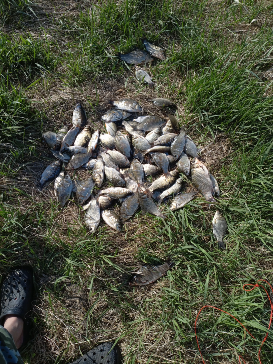    Рыбалка в Алтайском крае. Источник: "Рыбалка на Алтае. Клуб "Рыболовный край 22"