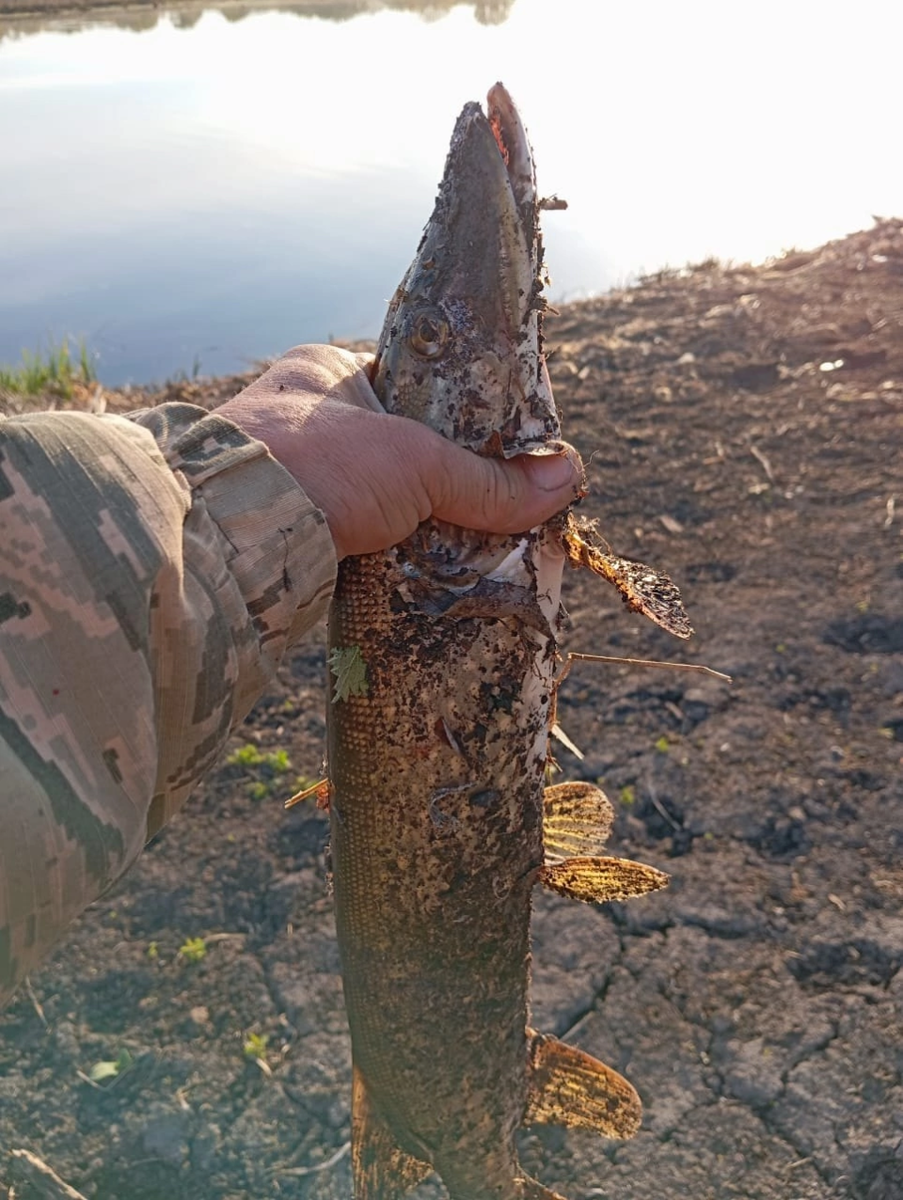    Рыбалка в Алтайском крае. Источник: "Рыбалка на Алтае. Клуб "Рыболовный край 22"