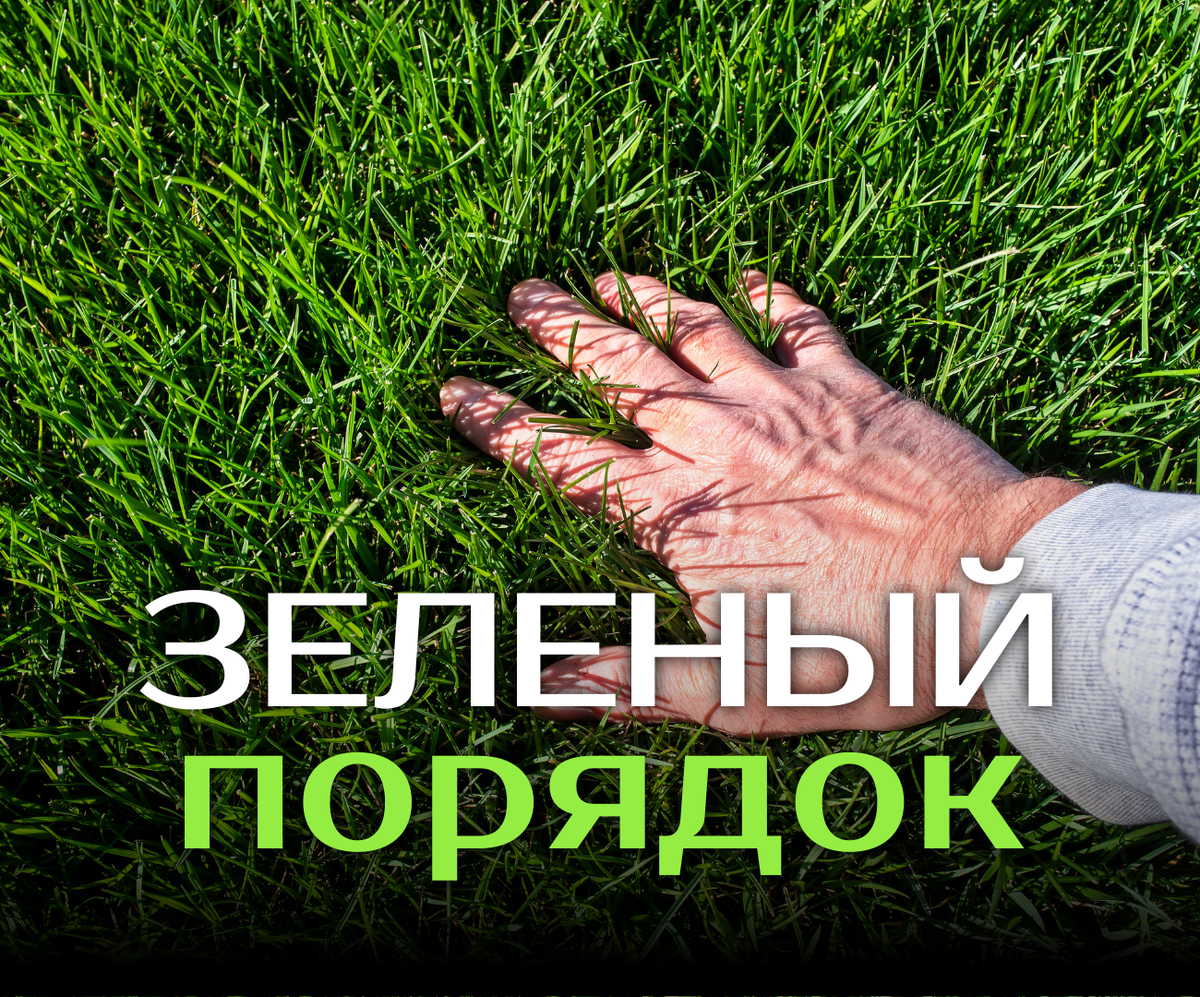 Тонкости ухода, полива и защиты от вредителей
