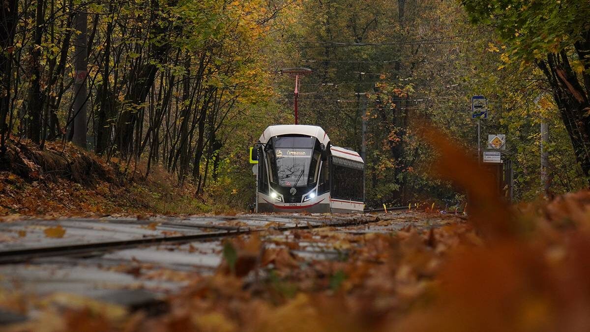    Фото: Анатолий Цымбалюк / Вечерняя Москва