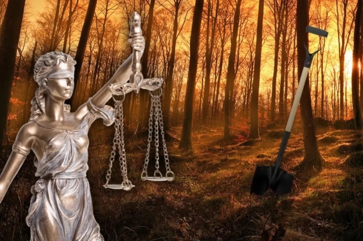    Тайна, похороненная во дворе.