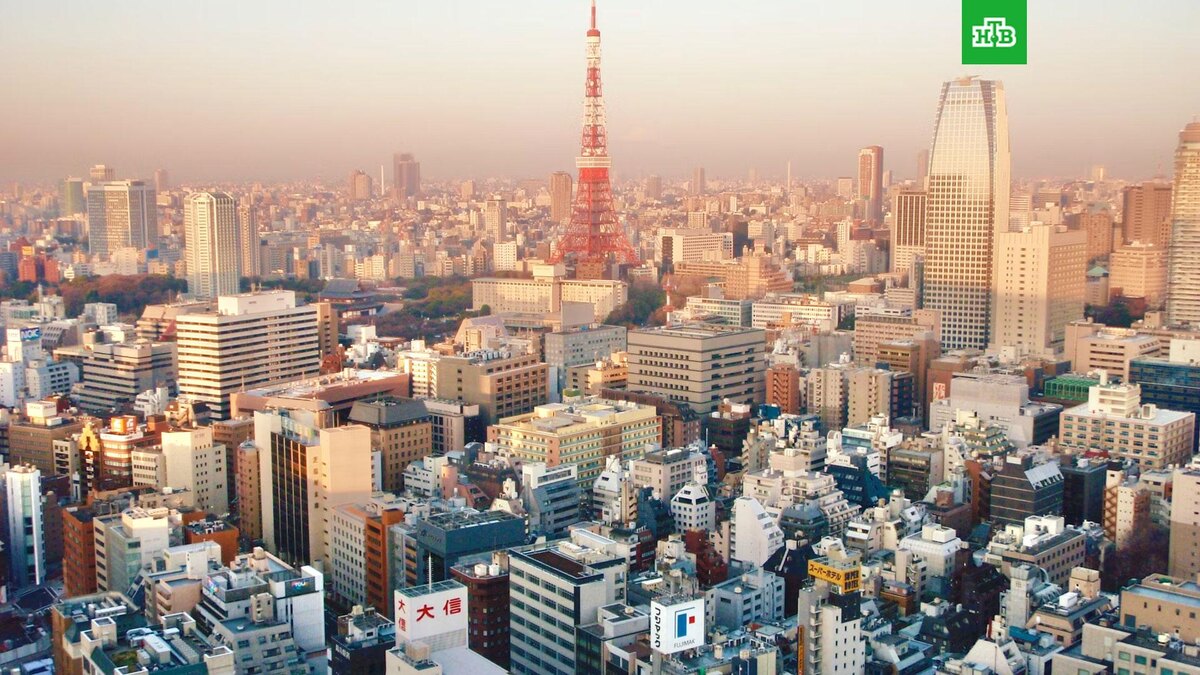    Фото: Kate Branch / unsplash.com