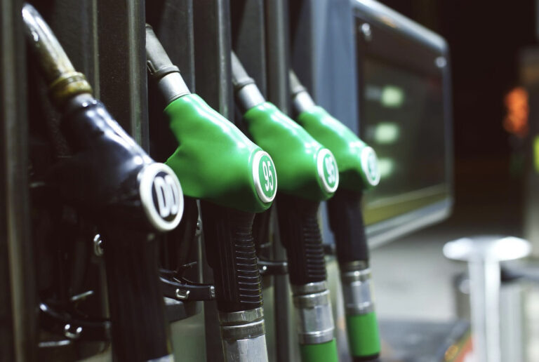    Фото: freepik.com/fxquadro Ксения Евдокимова