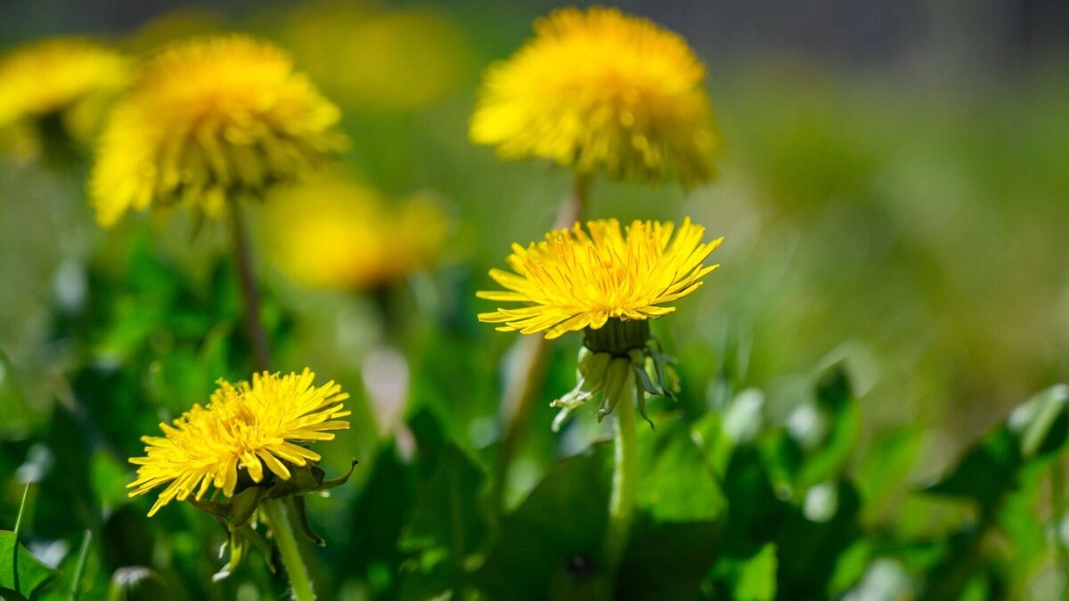     Источник: freepik.com