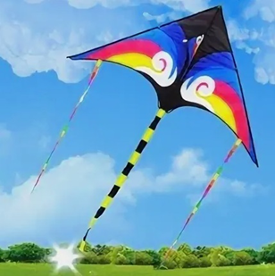 Рис. 1 Дельта-змей