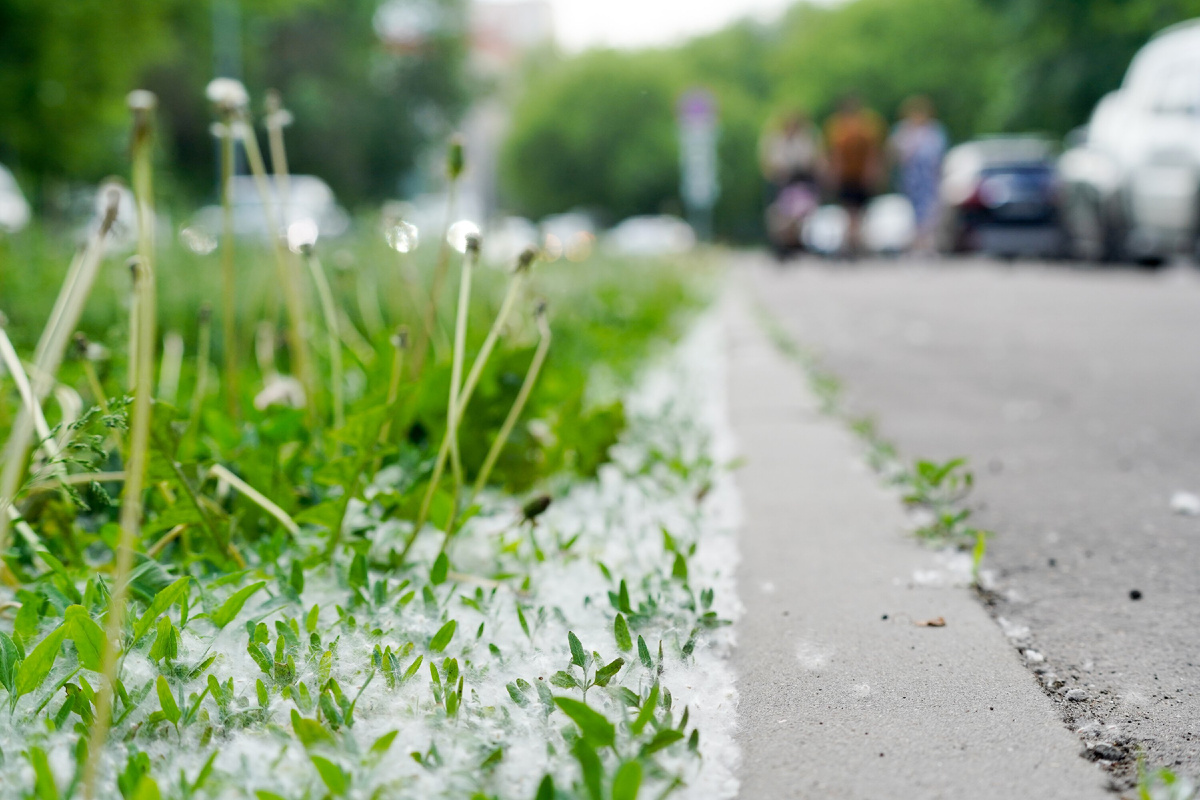 Александр Авилов / АГН "Москва"