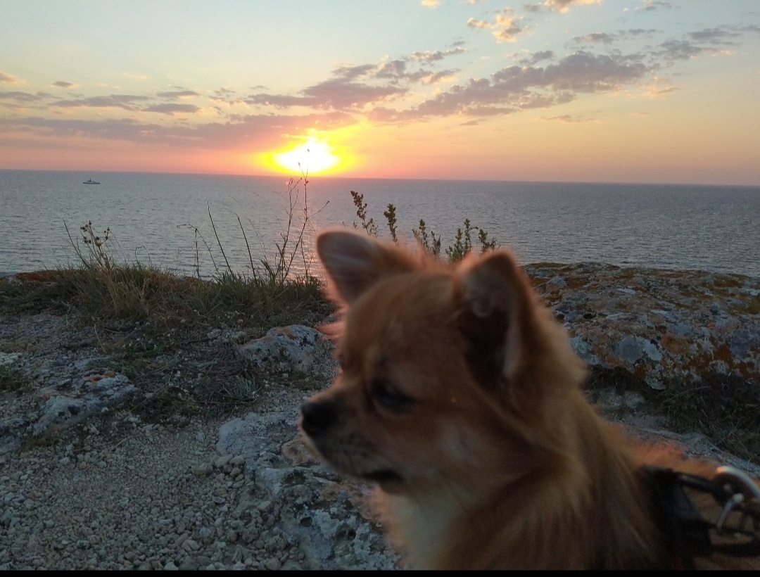 Моя крошка.