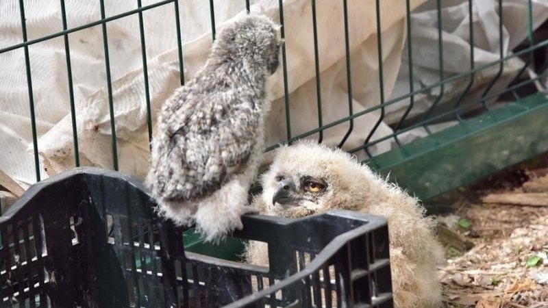    Фото: Борис Ярков