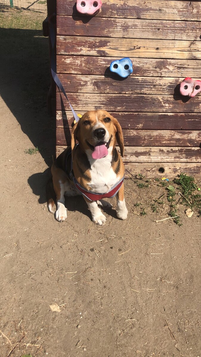 Боняковна кобаняковна😁