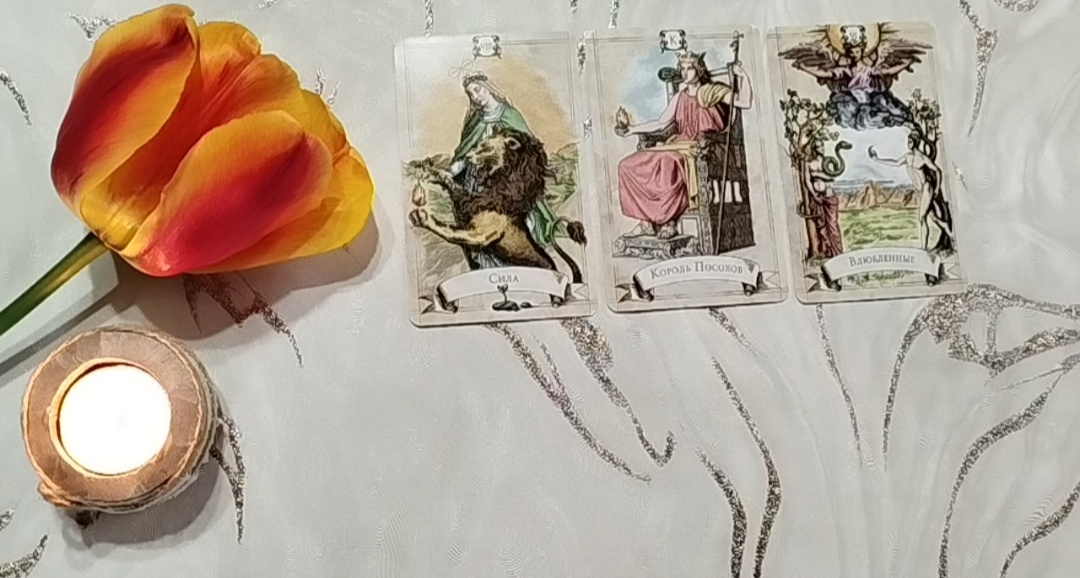 Сигнификация