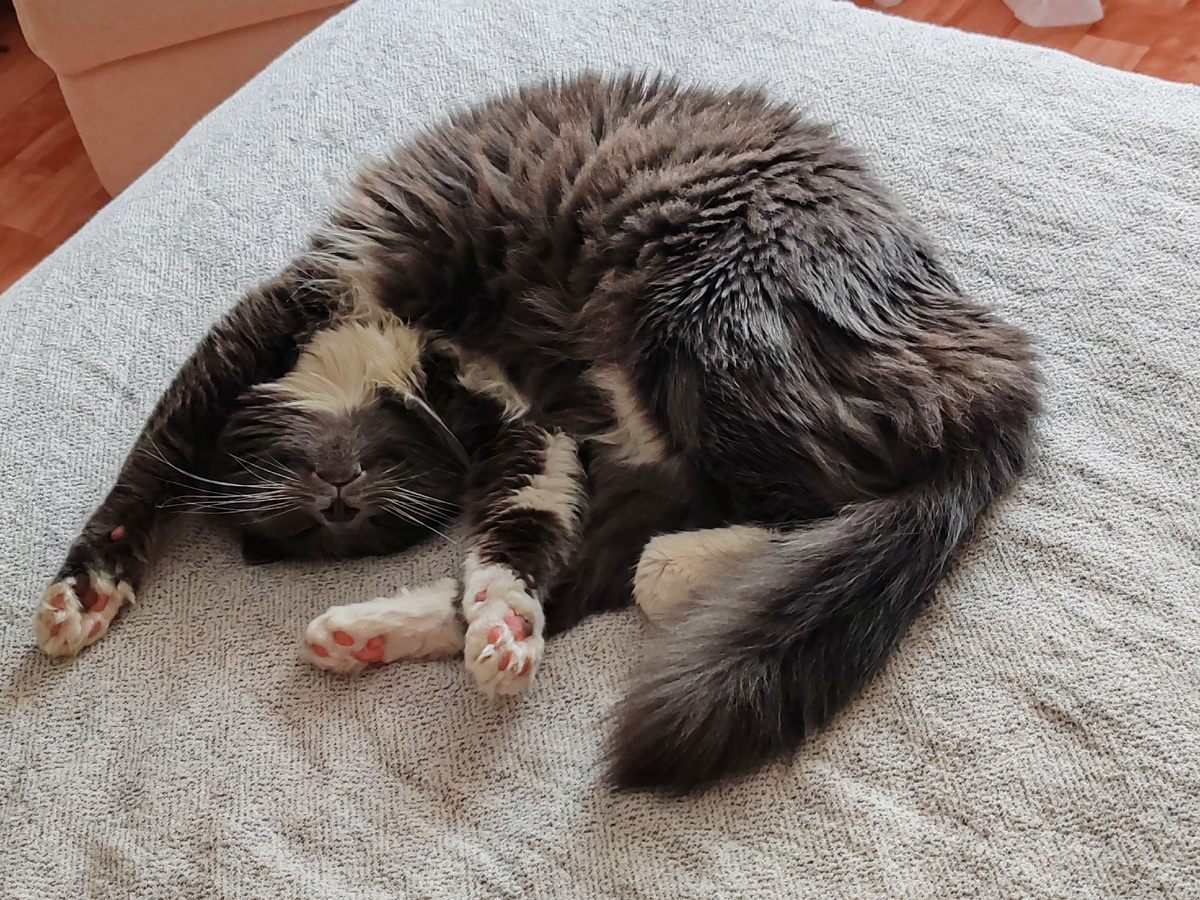 Фото автора канала. 