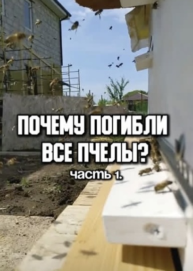 Как сократить вредителей в саду без химии и сберечь пчёл? Экологичный способ, о котором не все знают