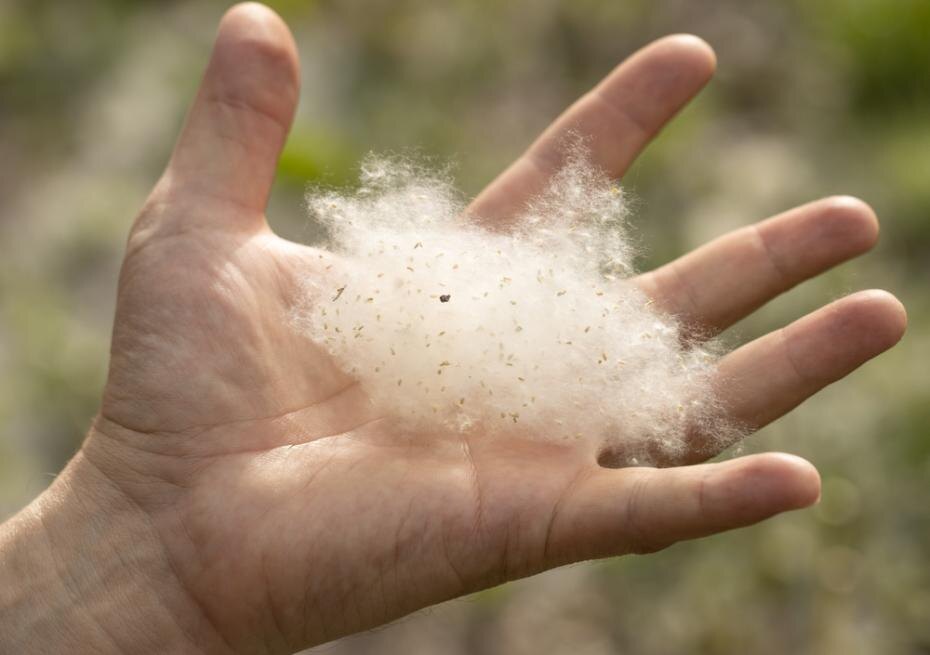    Shutterstock/FOTODOM