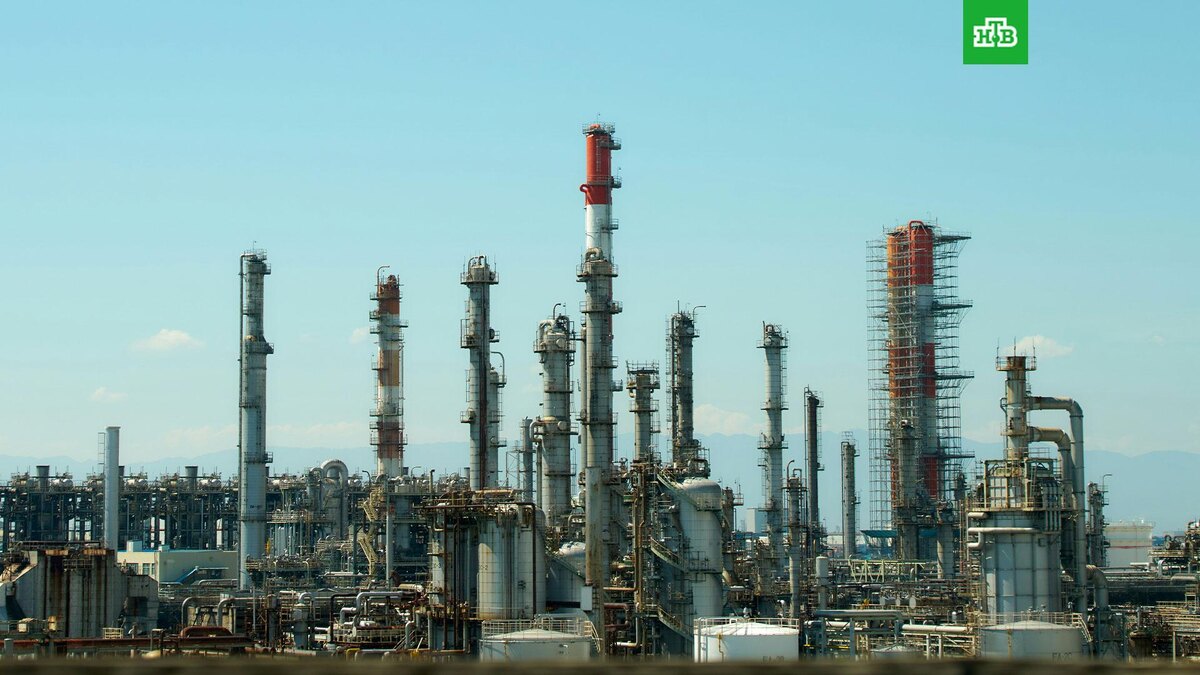    Фото: Buddy Photo / unsplash.com