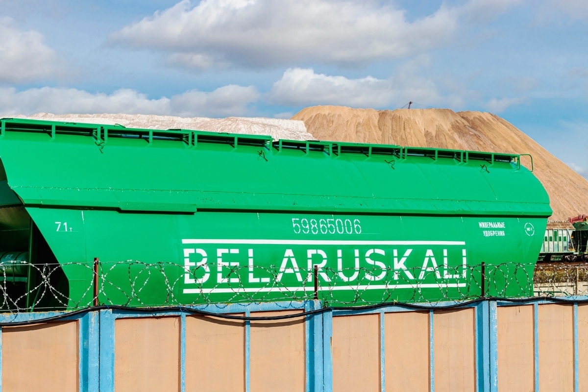    Фото: Another77 / Shutterstock.com