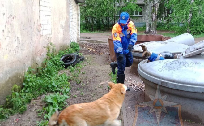    © Аварийно-спасательная служба Ленобласти