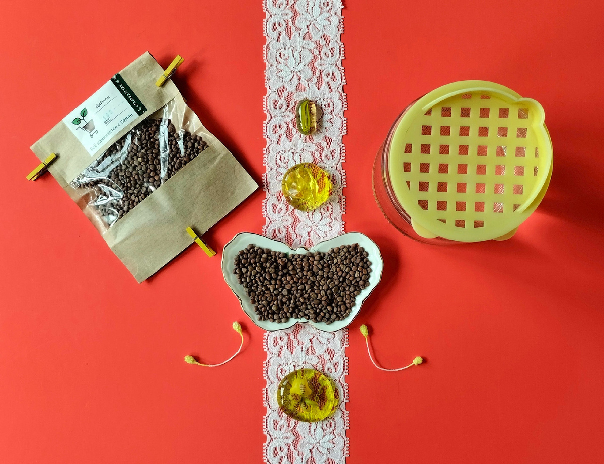 Для проращивания семена, банка и крышка-сито.