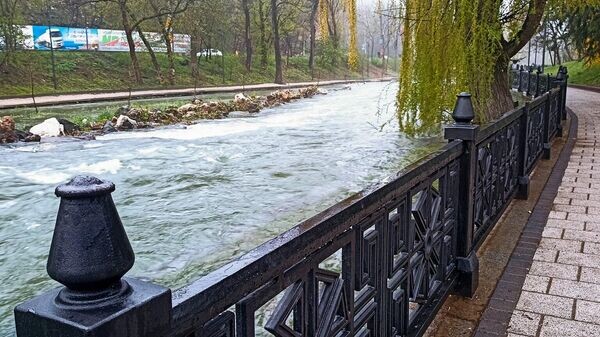    © РИА Новости Крым . Дмитрий Макеев