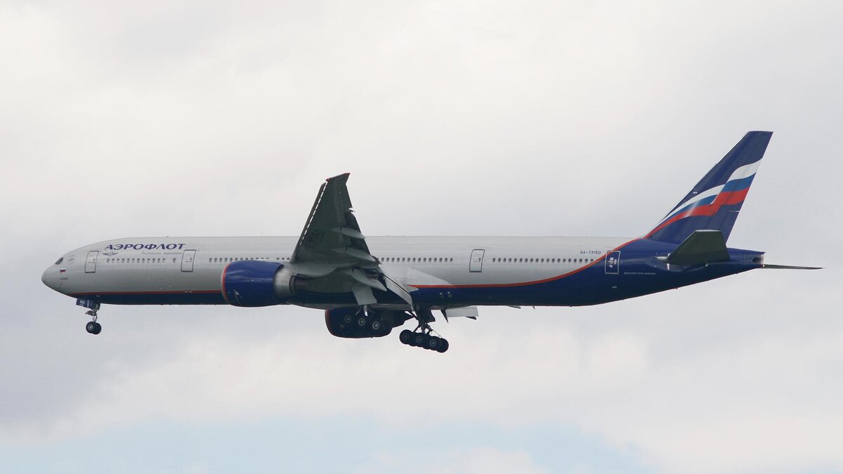    Фото: Maksim Konstantinov/globallookpress.com