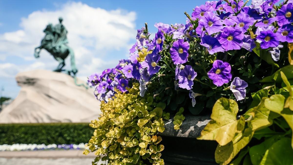    Фото: пресс-служба губернатора Санкт-Петербурга