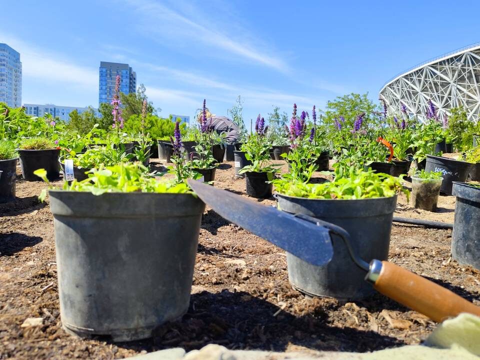    Фото: ООО «Парк».