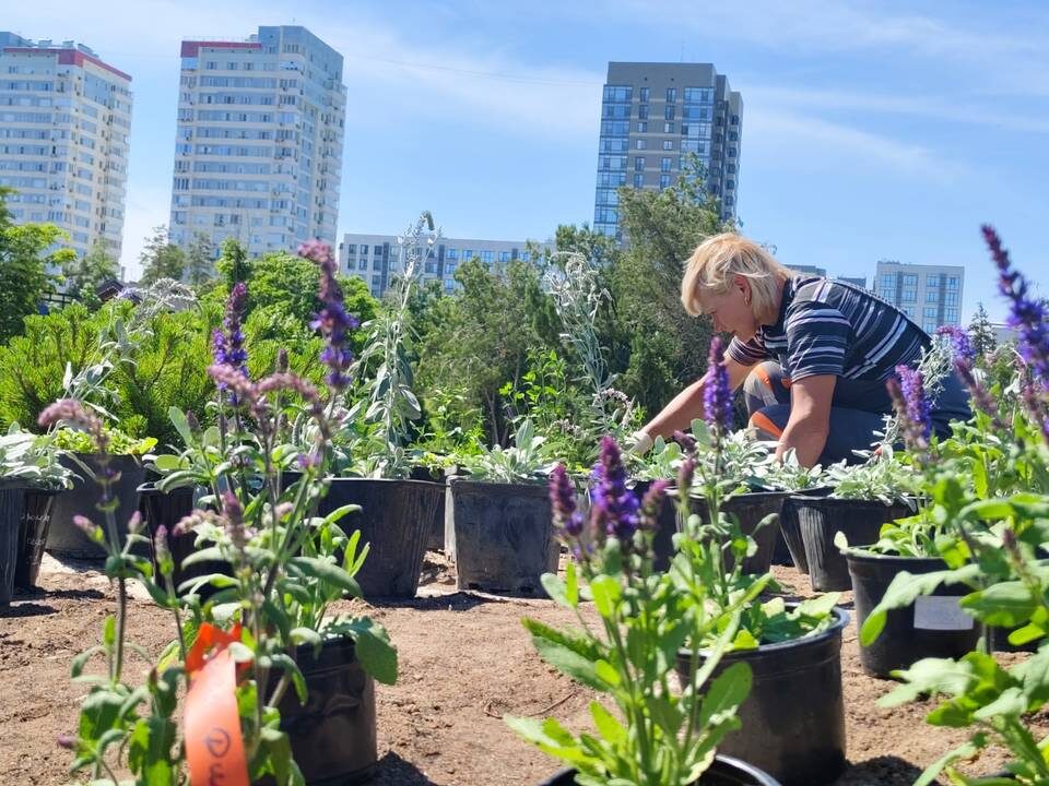    Фото: ООО «Парк».