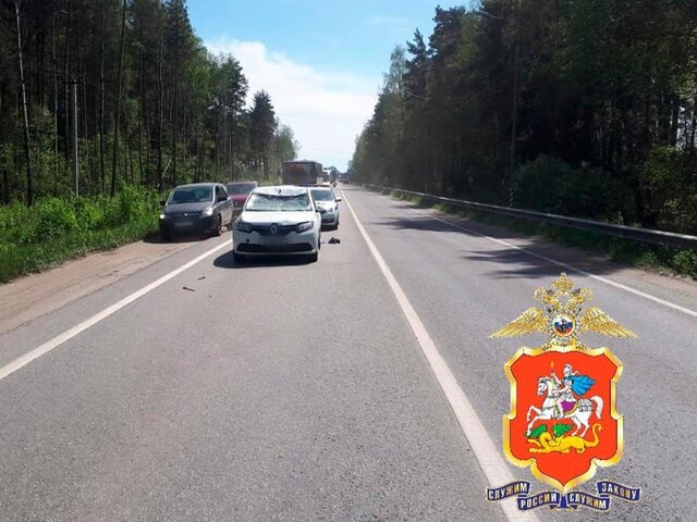    Фото: телеграм-канал "Подмосковная полиция"