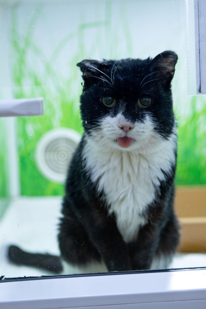 По мнению врачей Хасану примерно 16 лет. 