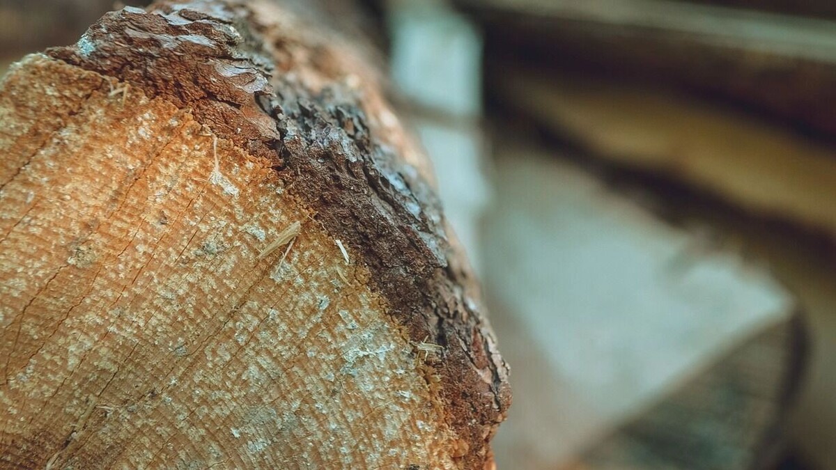     Источник: 1MI