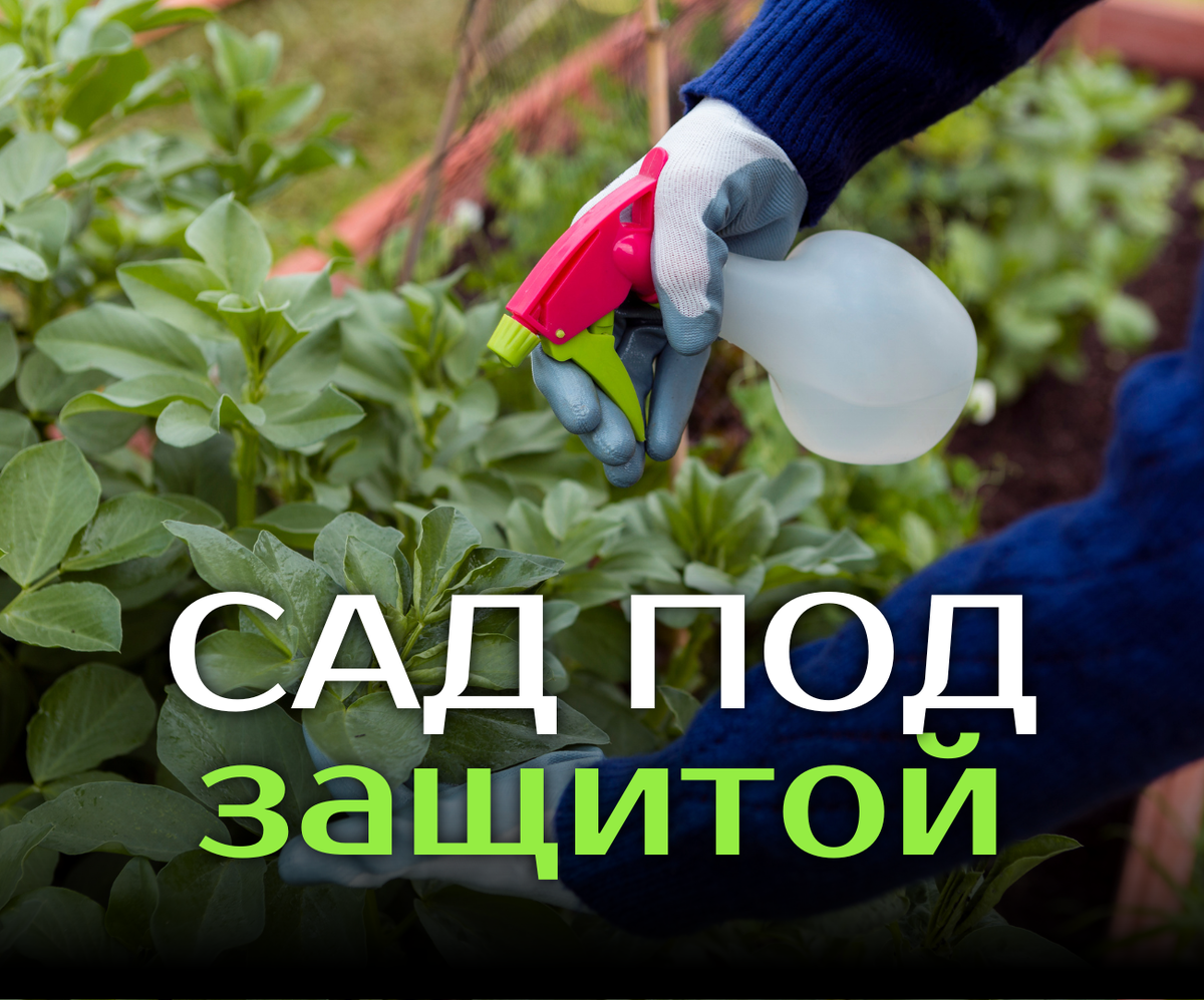 Три способа: химия, народные или нано-эко средства. Выбираем вместе.