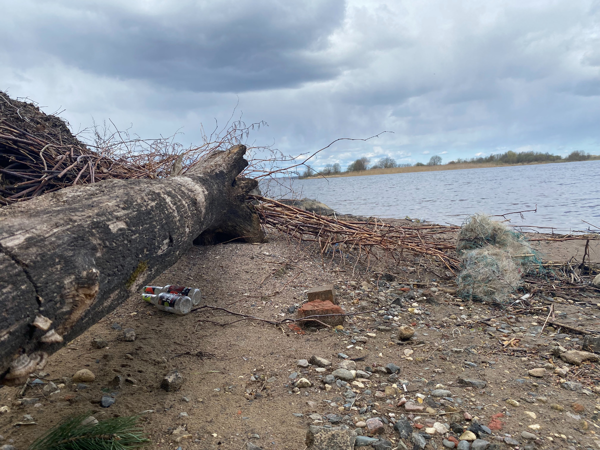 Набережная Шексны