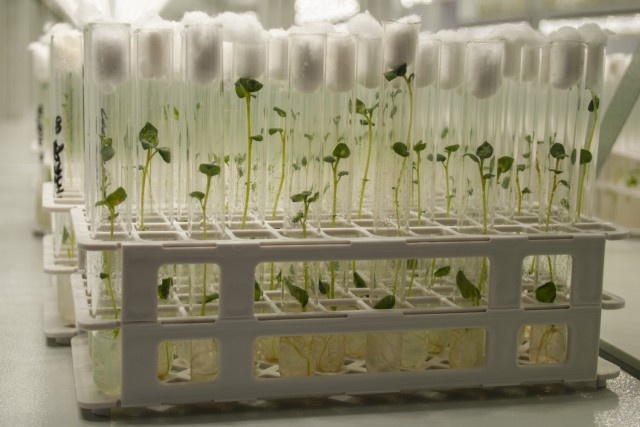   Фото из архива Калининград.Ru